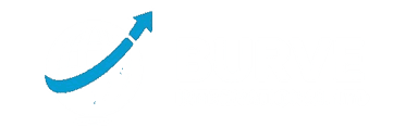 BURVE International Limited